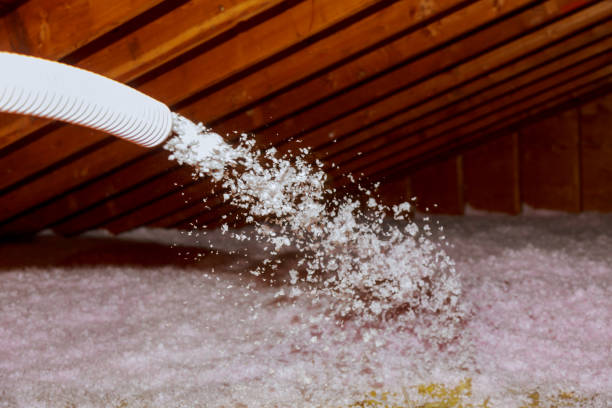 Best Eco-Friendly Insulation in Langley, WA